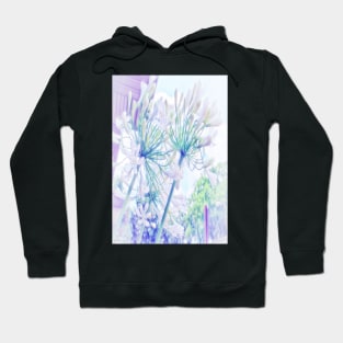 African Lilies (Agapanthus) Hoodie